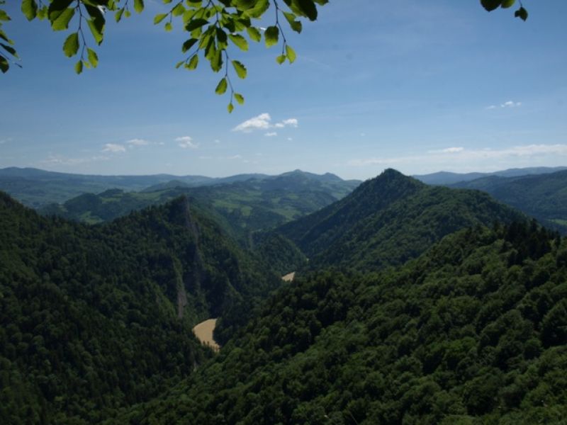 Zamkowa Góra , Pieniny - widok na Sokolicę i Małe Pieniny